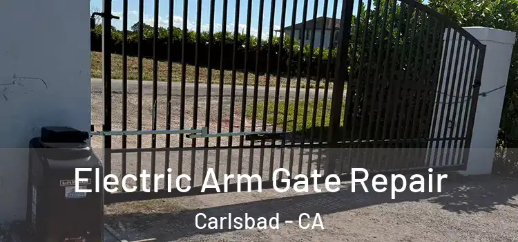  Electric Arm Gate Repair Carlsbad - CA