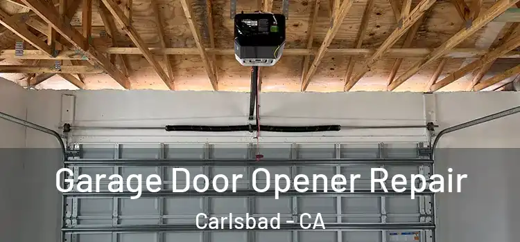  Garage Door Opener Repair Carlsbad - CA