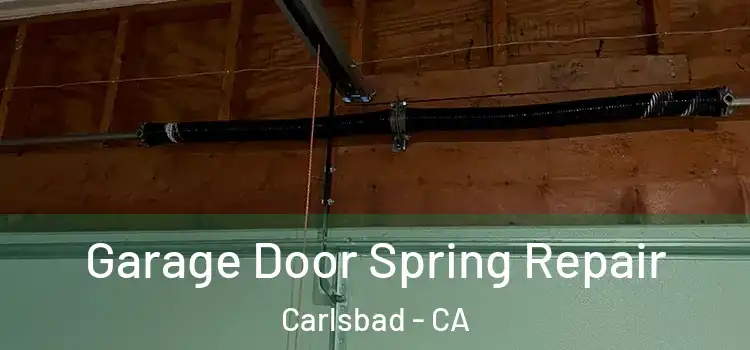  Garage Door Spring Repair Carlsbad - CA