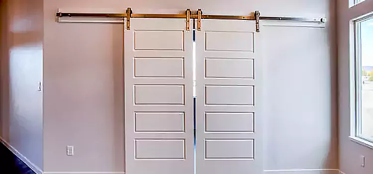 Glass Barn Door with Installation Hardware Kit Carlsbad