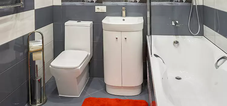Hansgrohe Shaving Mirror Carlsbad