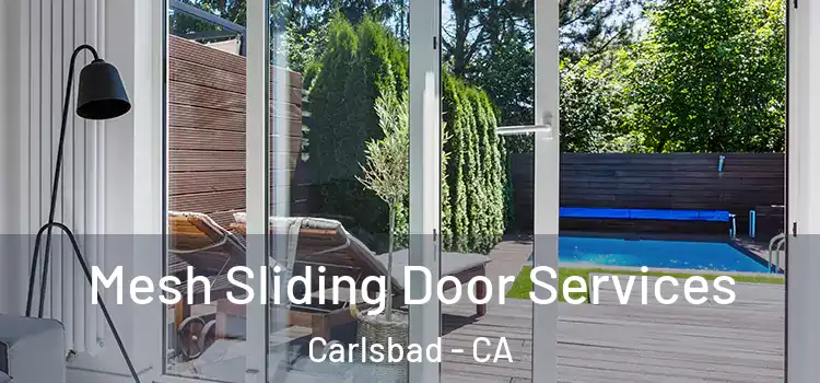 Mesh Sliding Door Services Carlsbad - CA