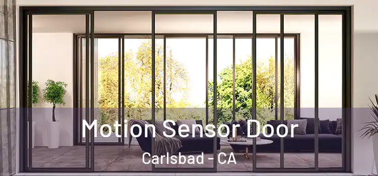  Motion Sensor Door Carlsbad - CA